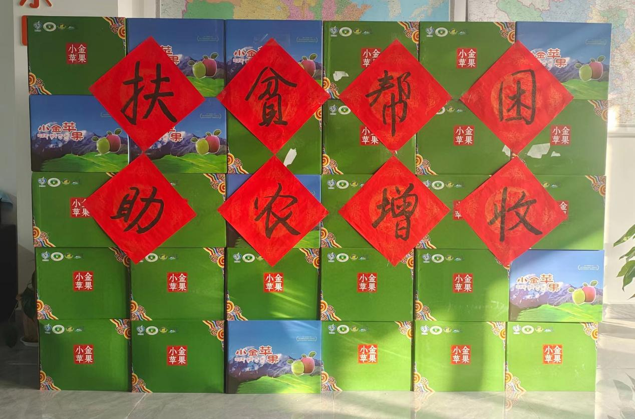 【中心動態】對口幫扶在路上 助農增收振鄉村