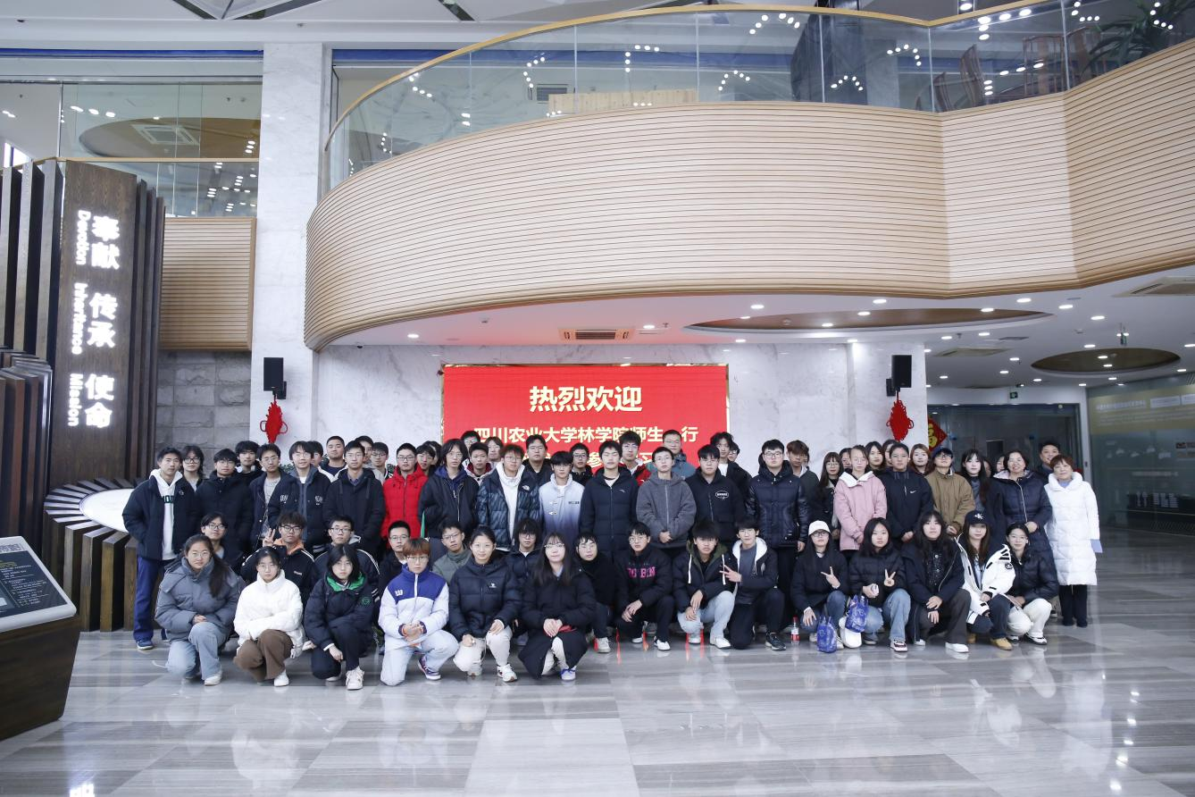 【木文化交流】木材交易中心助力高校學子探秘木材行業